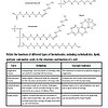 Diagram showing molecular structures of saturated fatty acids, unsaturated fatty acids, phospholipids, steroids, and lipids.