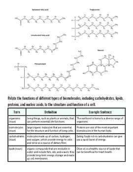 Diagram showing molecular structures of saturated fatty acids, unsaturated fatty acids, phospholipids, steroids, and lipids.
