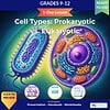original-11955064-1.jpg Colorful illustration comparing prokaryotic and eukaryotic cells for homeschool science lessons.