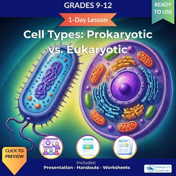 Colorful illustration comparing prokaryotic and eukaryotic cells for homeschool science lessons.