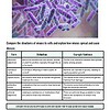 original-11955123-1.jpg Microscopic view of virus structures showing their complex, spiky surface in purple and blue hues.