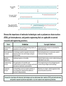 Illustration of molecular technologies including PCR, gel electrophoresis, and gene editing, highlighting their importance in research and engineering practices.