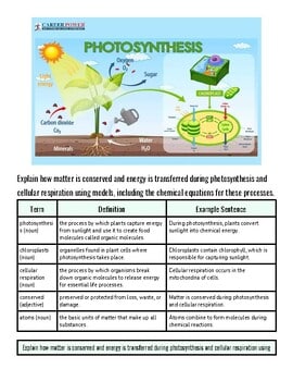 original-11972531-1.jpg Illustration of photosynthesis process showing sunlight, plant, and chemical reactions in the cycle.