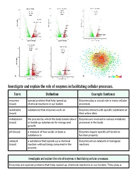Scientific graph illustrating enzyme activity and cellular processes in a biological study.