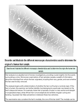 original-12062093-1.jpg Close-up of a microscope slide showing detailed cellular structures for homeschool science experiments.