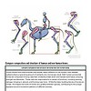 original-12095975-1.jpg Comparison of human and non-human bones showing differences in size, shape, and structure for educational purposes.