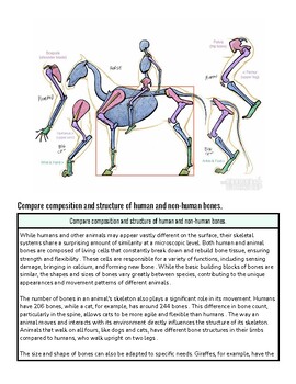 Comparison of human and non-human bones showing differences in size, shape, and structure for educational purposes.