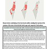 original-12209402-1.jpg Map of Israel highlighting regions involved in the Arab-Israeli conflict, with focus on disputed territories and key areas of conflict.