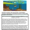 original-12259500-1.jpg Aquatic ecosystem with fish, plants, and water, illustrating atmospheric, geological, biological systems in a freshwater habitat.