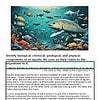 original-12259655-1.jpg Colorful underwater scene with various fish and a large spotted fish in the foreground, showcasing marine biodiversity.