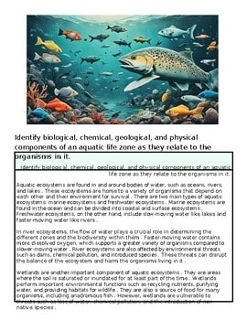 Colorful underwater scene with various fish and a large spotted fish in the foreground, showcasing marine biodiversity.