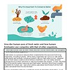original-12260002-1.jpg Infographic on water conservation highlighting importance for future generations, environment, and communities.