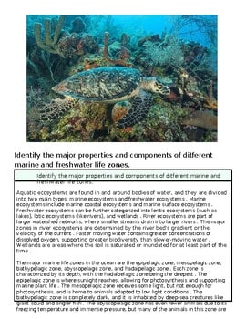 Underwater scene featuring a sea turtle swimming over coral reef with various marine life.