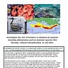 original-12260634-1.jpg Unveiling the role of humans in ecosystems, featuring fish farming, cultural eutrophication, and invasive species impacts.