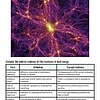 Dark energy visualization showing interconnected cosmic structures with bright yellow center and purple filaments.