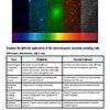 original-12293075-1.jpg Color spectrum image showing the electromagnetic spectrum from radio waves to gamma rays, including visible light, infrared, ultraviolet, X-rays, and gamma rays.