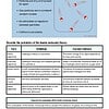Diagram illustrating kinetic molecular theory of gases with particles in constant motion and elastic collisions.
