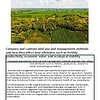 original-12337314-1.jpg Lush green landscape with fields and trees under a partly cloudy sky, showcasing land use and management methods.