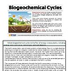 original-12337537-1.jpg Illustration of biogeochemical cycles showing the movement of elements through the environment including water, carbon, and nitrogen cycles.