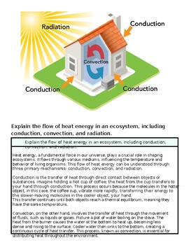 Diagram illustrating heat transfer in an ecosystem showing radiation, conduction, and convection processes around a house.