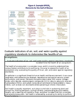Diagram of DPSIR framework elements for the Gulf of Mexico ecosystem, including drivers, pressures, state, impacts, and responses.