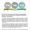 original-12405947-1.jpg Illustration showing the process of oxygen production through photosynthesis in plants, from carbon dioxide intake to oxygen release.
