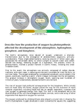 Illustration showing the process of oxygen production through photosynthesis in plants, from carbon dioxide intake to oxygen release.