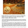 original-12406291-1.jpg Autumn landscape with a river, trees, and a detailed close-up of a rock with fossil patterns, illustrating geological features and fossil succession.