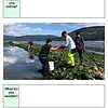 original-12608960-1.jpg Children exploring a rocky shoreline by a lake, engaging in outdoor learning and discovery.