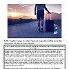 original-12611107-1.jpg Person walking on a road with a suitcase during sunset, symbolizing travel and migration.