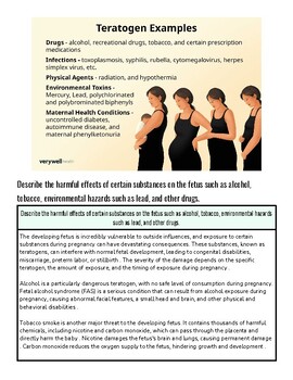 Illustration of three pregnant women demonstrating teratogen examples affecting fetal development.