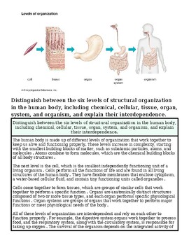 Diagram illustrating the six levels of structural organization in the human body, from cells to organism.