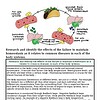 original-12626147-1.jpg Homeschool Resource Co. educational image showing pancreas, glucose, and insulin functions for home learning.