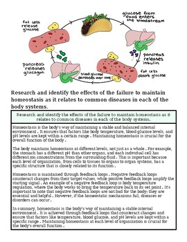 Homeschool Resource Co. educational image showing pancreas, glucose, and insulin functions for home learning.