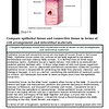 original-12626235-1.jpg Diagram showing epithelial tissue and connective tissue in the epithelium with labeled cell structures.