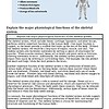 original-12626498-1.jpg Diagram illustrating the five major functions of the skeletal system, including support, protection, movement, blood cell production, and mineral storage.