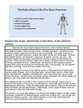 Diagram illustrating the five major functions of the skeletal system, including support, protection, movement, blood cell production, and mineral storage.