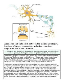 original-12627147-1.jpg Diagram of a neuron showing its parts, including dendrites, axon, and synapse, illustrating nerve cell functions for educational purposes.