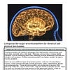 original-12627647-1.jpg Illustration of a human brain highlighting neural activity and neurotransmitter pathways.