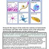 original-12632034-1.jpg Diagram of neuroglia types in central and peripheral nervous systems, including ependymal cells, oligodendrocytes, satellite cells, Schwann cells, astrocytes, microglia, and a neuron.