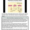 original-12638966-1.jpg Diagram illustrating the regulation of cardiac output by the cardiovascular and nervous systems, showing heart, blood vessels, and related control mechanisms.