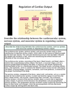 Diagram illustrating the regulation of cardiac output by the cardiovascular and nervous systems, showing heart, blood vessels, and related control mechanisms.