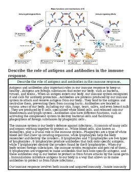 Diagram illustrating the role of antigens and antibodies in the immune response, showing how they interact to identify and neutralize pathogens.
