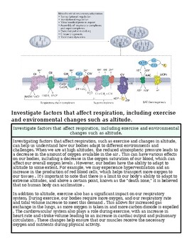 original-12651325-1.jpg Diagram illustrating factors affecting respiration and environmental changes impacting health and exercise.