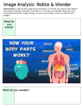 Educational infographic showing how body parts work, including brain, trachea, lung, heart, liver, stomach, small and large intestines, for homeschooling.
