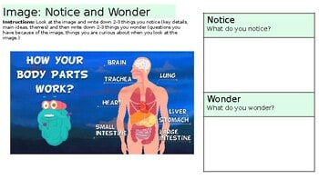 Educational infographic showing how different parts of the human body work, including brain, heart, lungs, stomach, liver, and intestines.