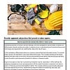 original-12744040-1.jpg Equipment and Practices for Injury Prevention in Sports | Daily Lesson |