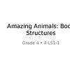 original-14482842-1.jpg Educational slide titled 'Amazing Animals: Body Structures' for Grade 4 science lesson.