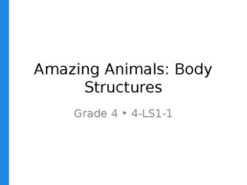 Educational slide titled 'Amazing Animals: Body Structures' for Grade 4 science lesson.