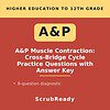 scrubready-nursing-a-p-i-cross-bridge-cycle-and-sliding-filament-sequencing-pra.jpg A&P Muscle Contraction Cross-Bridge Cycle Practice Questions with Answer Key for higher education students.